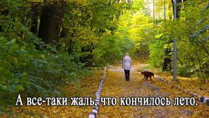 А всё таки жаль, что кончилось лето. (Юрий Кукин)