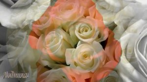 Розы красные,розы белые-Андрей Рубежов