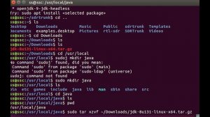 Java JDK Install for SDRTrunk on Ubuntu Linux