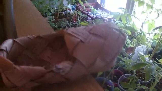 детские пинетки на лето всем друзьям! смотреть онлайн