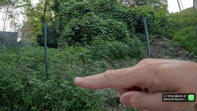 Каким будет пляж отеля "LIVINGSTON GRAND RESORT&SPA (Ливингстон)" | Пляж "Ласточка" в Сочи смотреть онлайн