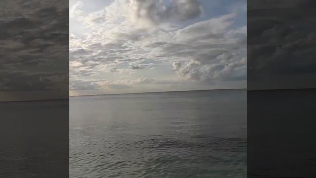 Остров Косумель смотреть онлайн