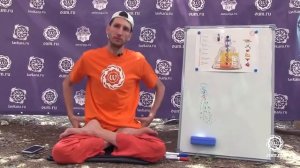 Андрей Верба. Что дает сидение в падмасане лотосе.