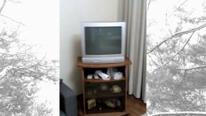 пансионат Морозовский Нижегородская область номер-студия