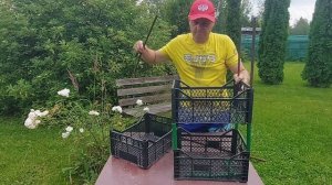 Простейшая сушилка из пластиковых ящиков