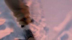 Мопсовлог#19 Первый снег в январе , Хлопа гуляет со своими друзьями 😅