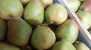 9 ноября 2021г Цена на Груша, рынок Фуд - Сити, моя любимая рынок красава и богато ???????????