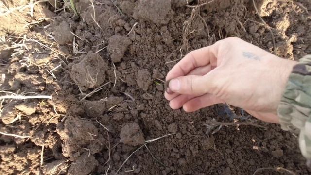 Поиск с металлоискателем TX 850. Коп монет смотреть онлайн