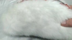 Как сшить косметичку из меха своими руками. Подарок на Новый год.