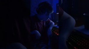 Песенка Дионы (Genshin Impact)