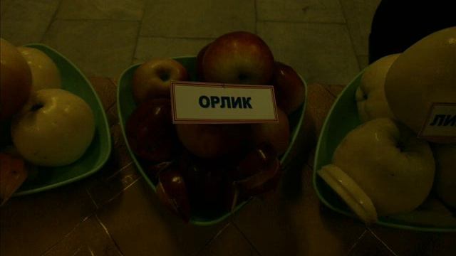 ЯБЛОКИ Ульяновской области смотреть онлайн