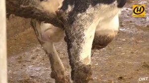 Лукашенко разносит чиновников