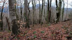 Древние находки до н.э. Коп в горах