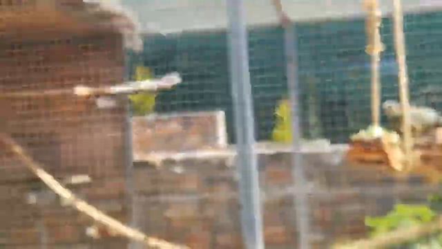 Контактный зоопарк на Крите, Май 2018 смотреть онлайн