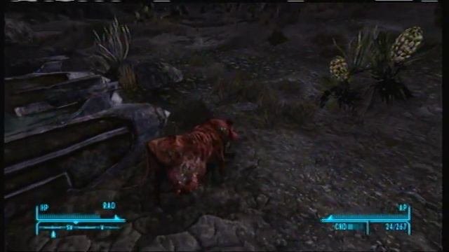 Brahmin Tipping!