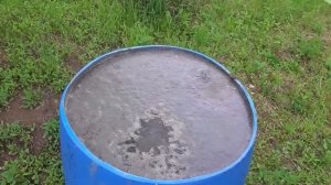 Подкормка овощей раствором куриного помёта.
