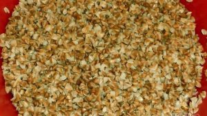 Гречнево-куриные котлеты