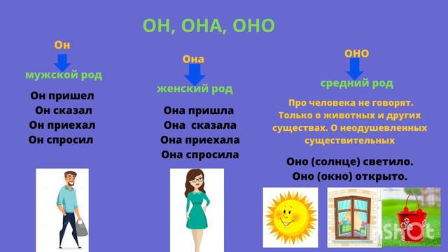 Оно моё средний род. Он она оно род. Стихотворение про род имен существительных. Местоимения 3 лица единственного числа изменяются по. Я вы она род.