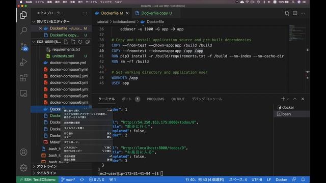 【Docker講座12】Dockerfileデモ5_dockerignore【5:14】 смотреть онлайн