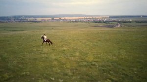 Верховая езда на коне по полям. Horse riding Russia. Красивое видео c квадрокоптера