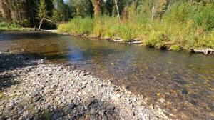 Горная Шория,Патын,Сензас: серия 1