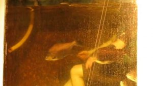 Человек в бассейне с пираньями.