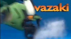 Лос пингвинос