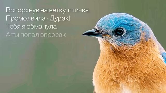 Сказка о глупости. С. Маршак. смотреть онлайн