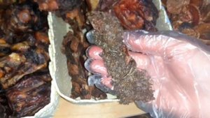 Лакомства для собак, отдел продаж,  часть ассортимента МокроНосик