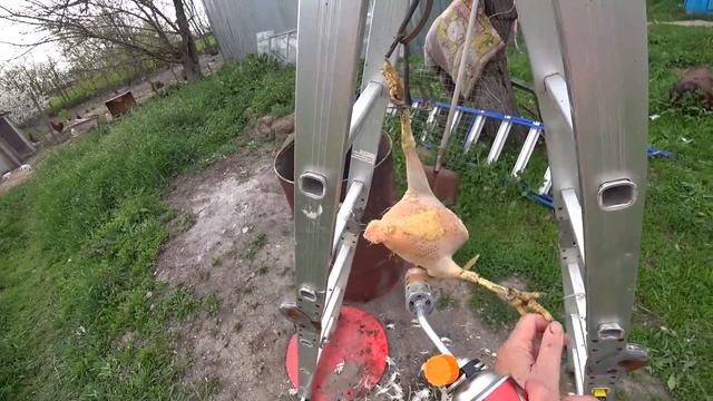 Ейск // покупки всякой всячины // Потрошим курицу смотреть онлайн