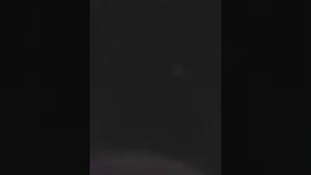 Моя кружка!!!/ВОЙНА С КОТОМ ЗА КРУЖКУ/-Cat vs milly смотреть онлайн