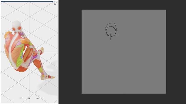 [Daily Pose Practice] 29/January/2024 [Day 170|Week 30] смотреть онлайн