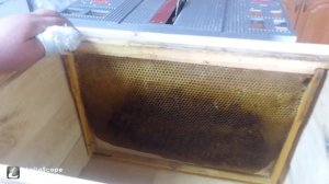 для чего и почему 8 рамочный корпус Рут