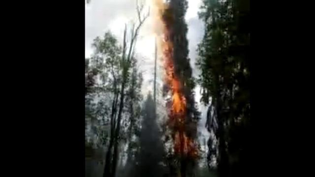 Краткое знакомство с  работой десантников-пожарных! смотреть онлайн