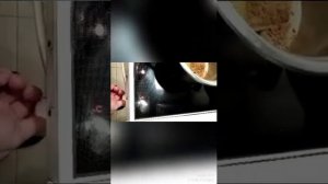 Вкус детства простой шоколадный рулет из печенья