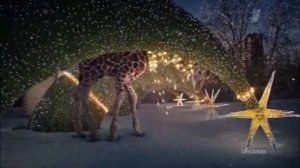 Новогодние заставки (Первого Канала) жираф и ёлка #21 2021-2022