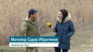 Каякентский район Дагестан туристический Озеро Аджи Гейзеры Минеральные Источники Каменная баба