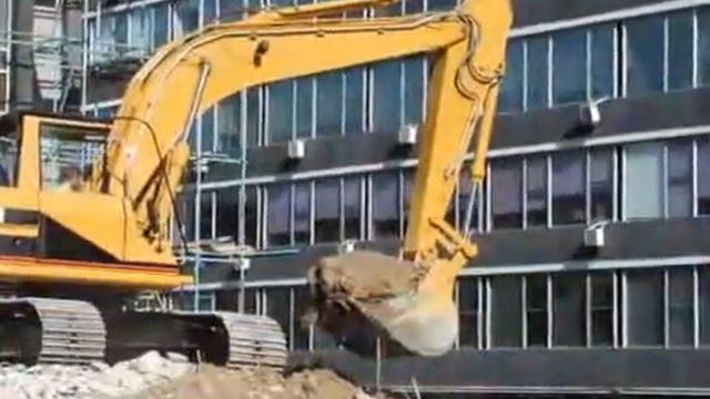 FOX PLANT смотреть онлайн