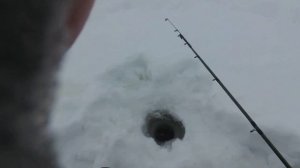 Зимняя рыбалка на реке Кама. Село Шуран, Татарстан.