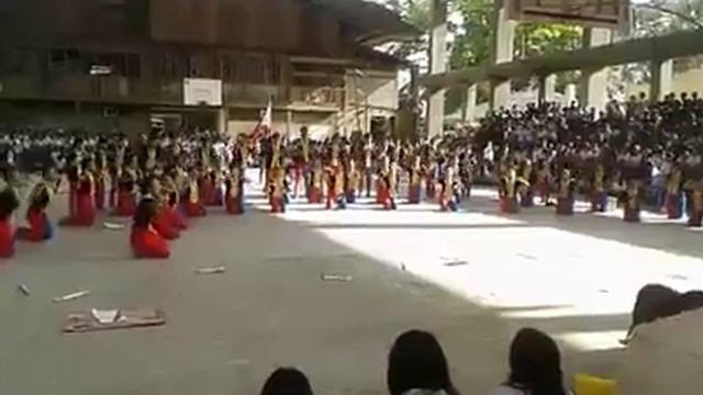 Anatomy of a Filipino AOSRNHS смотреть онлайн