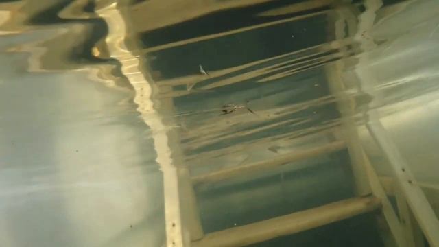 Купание в селе Кузедеево с экшн камерой смотреть онлайн