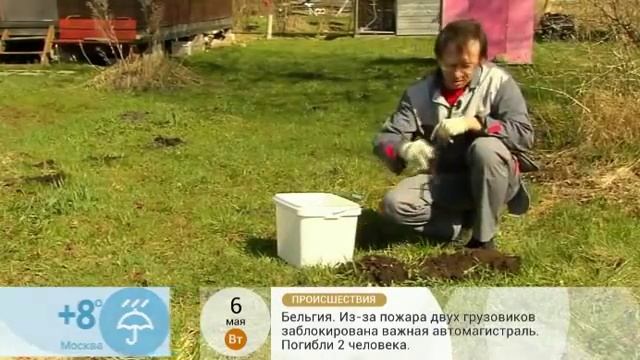 Борьба с кротами. Специалист компании ЭКОСЕТЬ показывает как нужно ловить кротов. смотреть онлайн