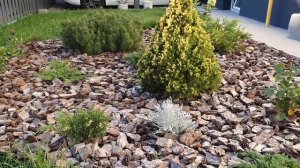 Кора сосновая в мешках, мульча для сада