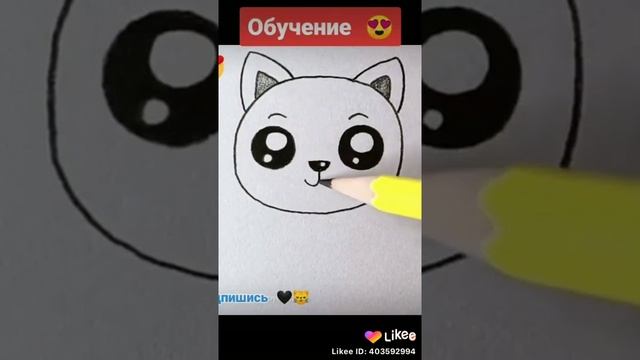 Как нарисовать милого котика