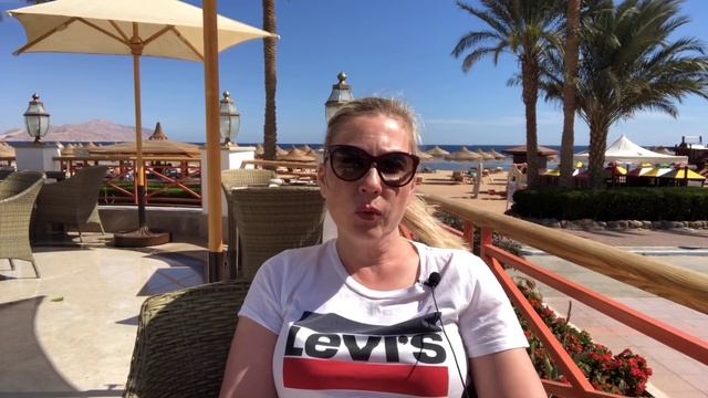 Всё о финиках и финиковой пальме смотреть онлайн