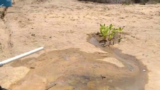 Carmo Biscate Fazenda Lagoa Comprida Nova Soure 21 01 2018 смотреть онлайн