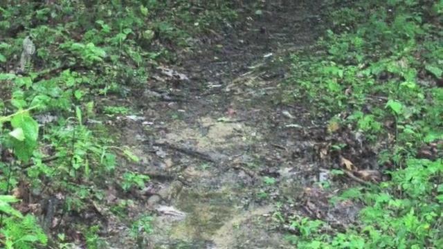 Bluefield West Virginia City Park - The Trails 1 смотреть онлайн