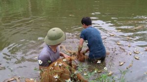 Happiness is washing two wives hair, buying fish for the pond, peaceful life on the family farm