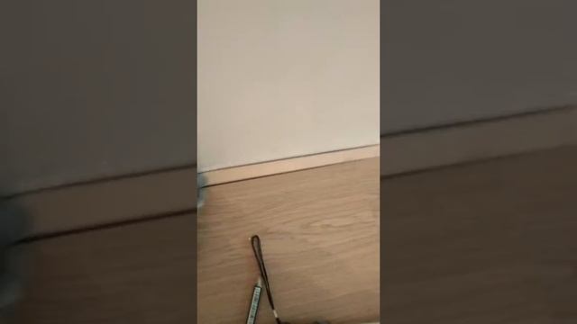 Ламинат. Укладка первого ряда по кривой плоскости смотреть онлайн