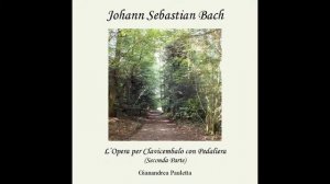 J. S. Bach : Trio Sonata n 2 BWV 526 in C minor - I° Vivace for pedal harpsichord (G.Pauletta)
